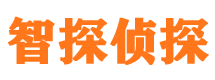 宝山侦探公司